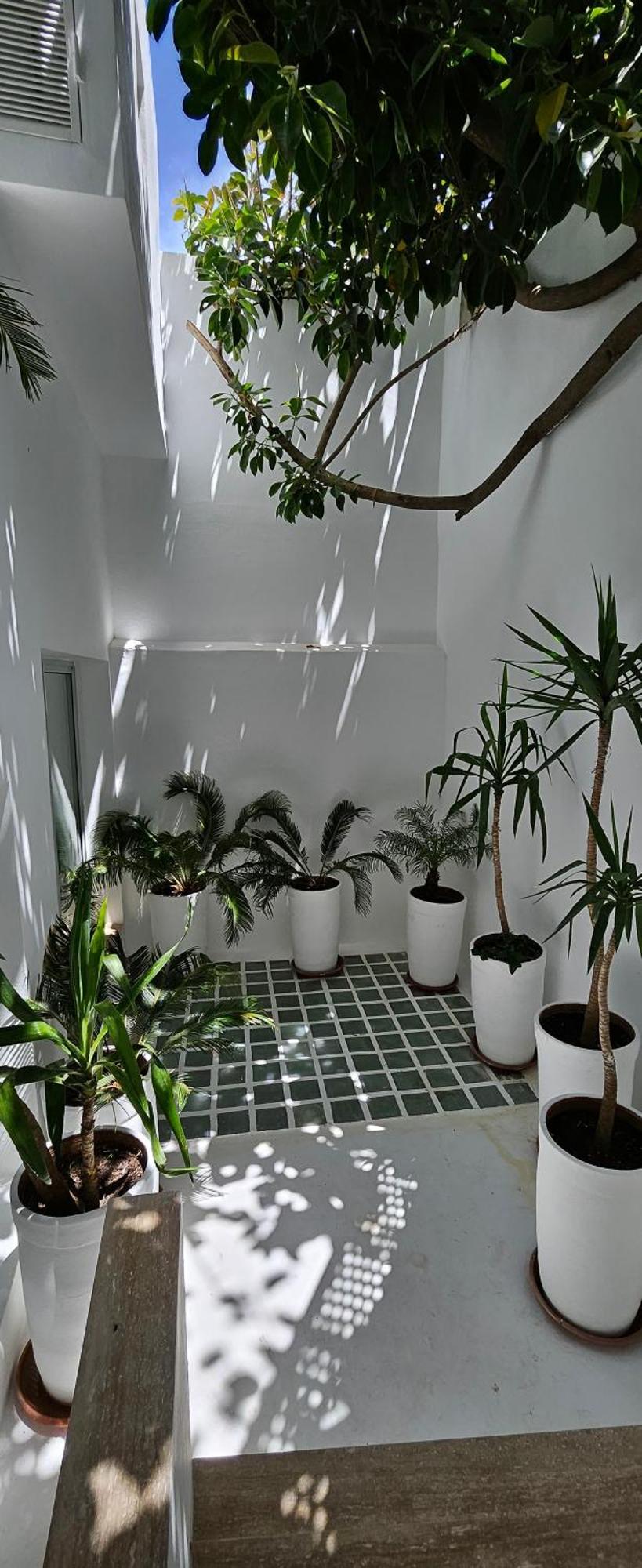 טנג'יר Villa Hafa מראה חיצוני תמונה